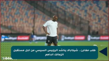 طلب مفاجئ.. شيكابالا يناشد الرئيس السيسي من أجل مستقبل الزمالك الداهم
